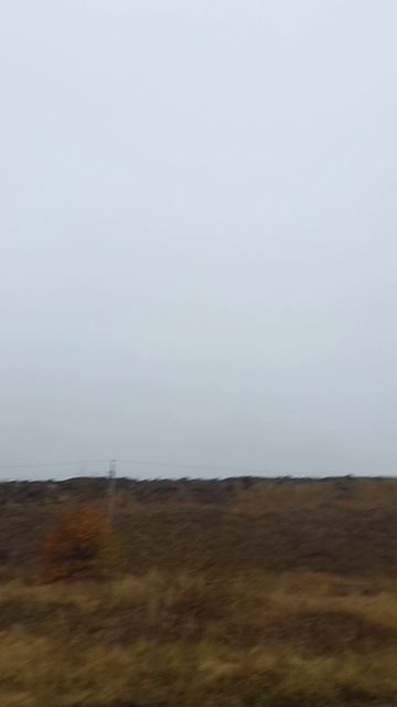 1000243254.mp4