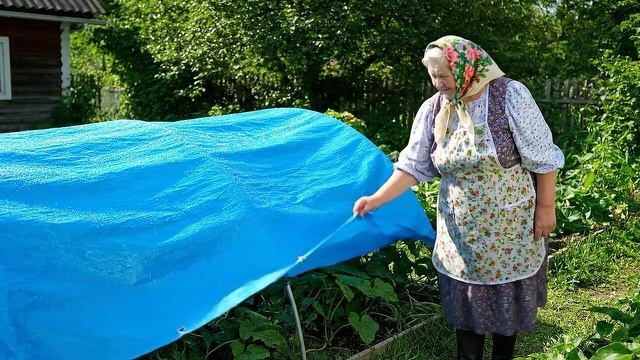 Тарпаулин - помощь в огороде