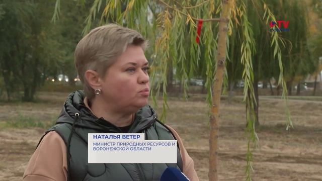 На Петровской набережной появится воронежский «Парк Малевича»