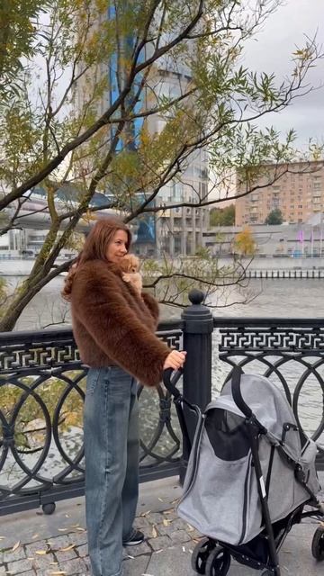 Открытое знакомство со щенками мальтипу уже в эту субботу, 11 октября! 
Ловите золотую осень за хвос