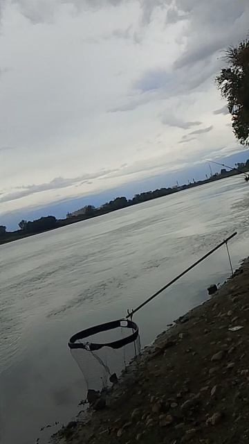 Рыбалка...река Кубань