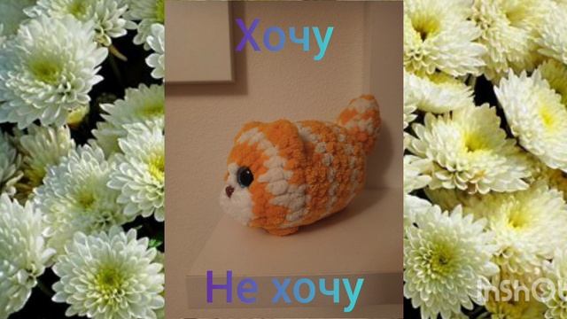 хочешь или нет???