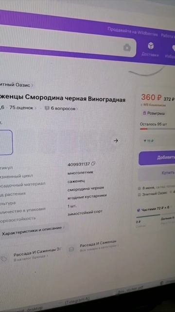 Смородина крупная виноградная