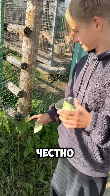 хочешь тыщу робаксов?😎
