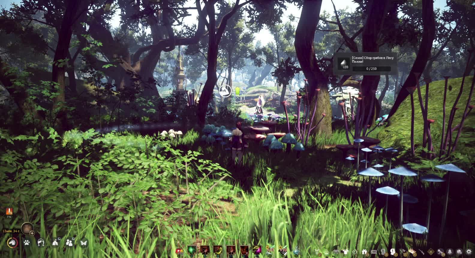 Black Desert