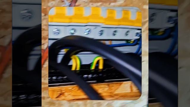 1000036847.mp4 (Собака смотрит на монтаж электропроводки (в э/щите) в доме А-фрейм)