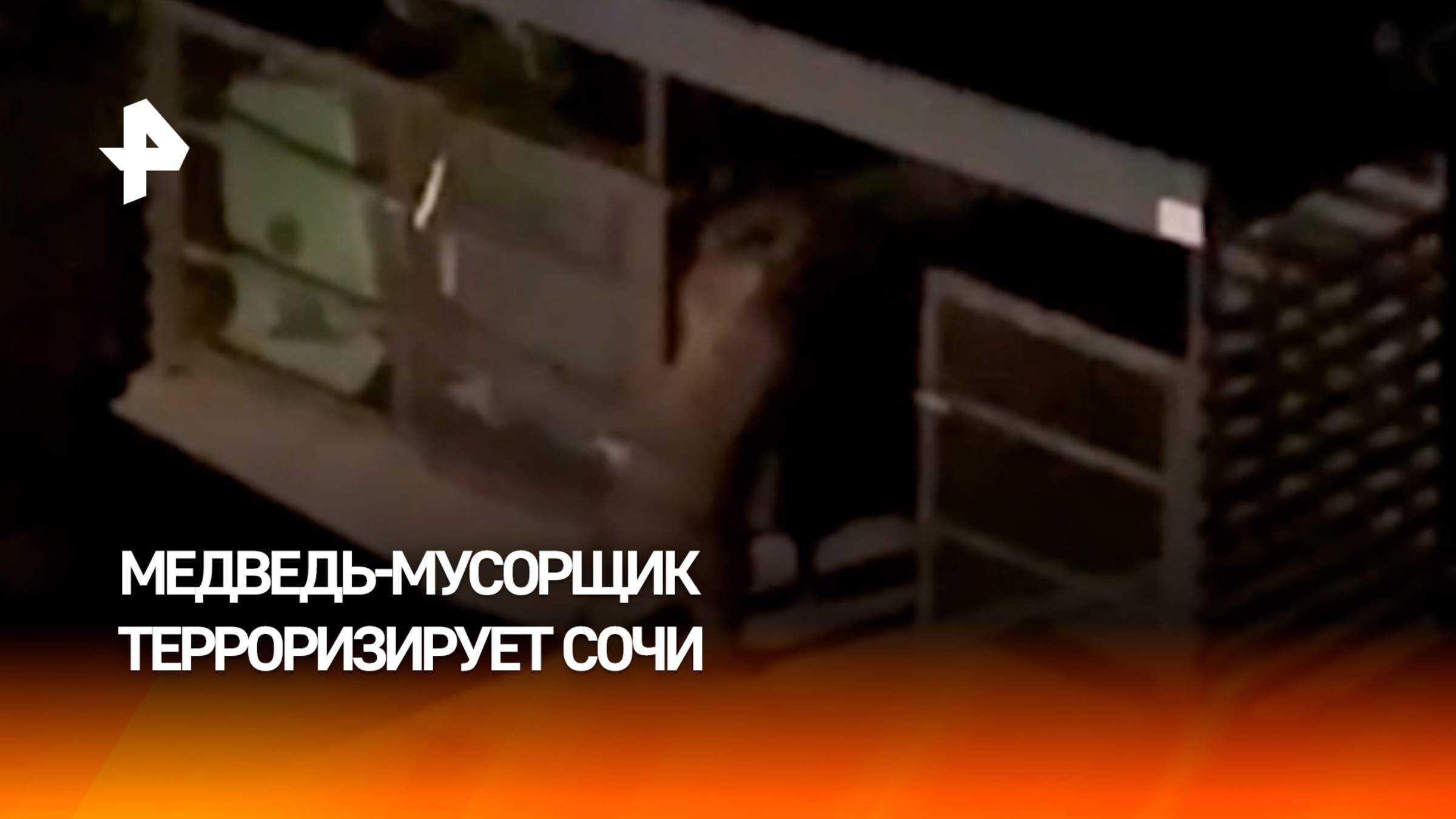 Медведь-