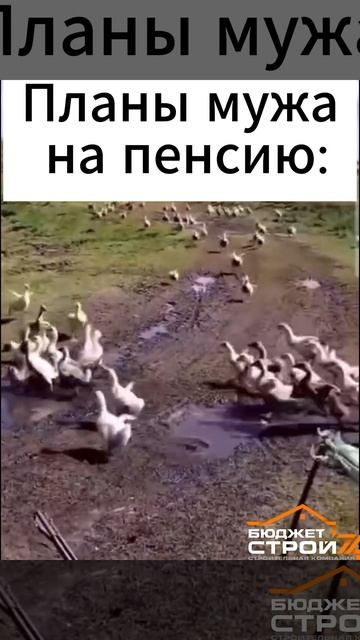 Для настроения