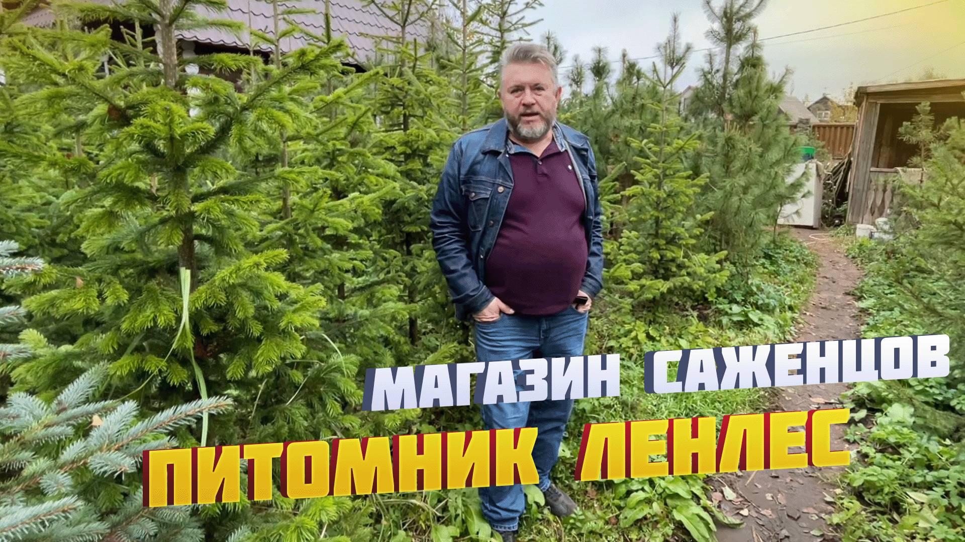 Питомник ЛенЛес - магазин саженцов!