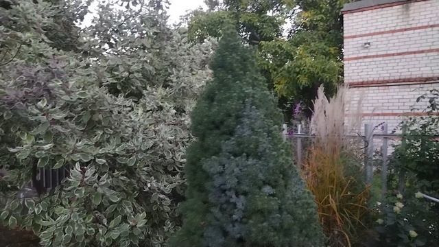 Обзор самого 