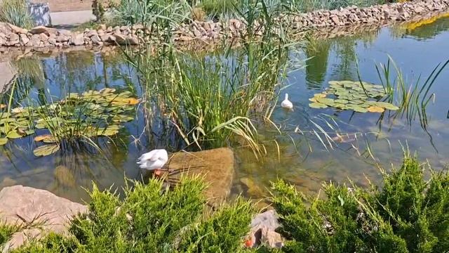 1000052801.mp4