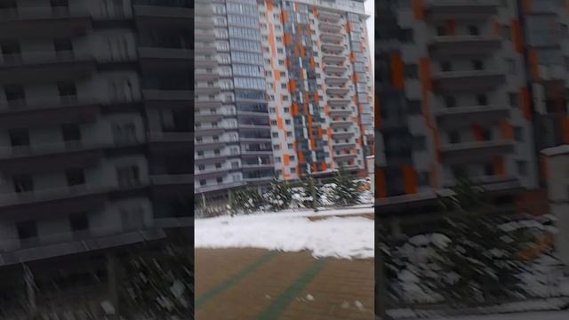 1 отрывок