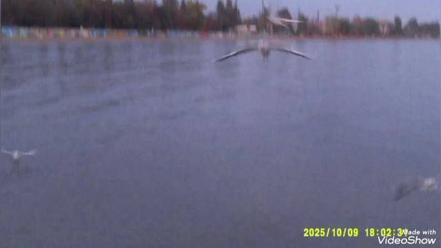Мариуполь ⛵ морюшко 🌊