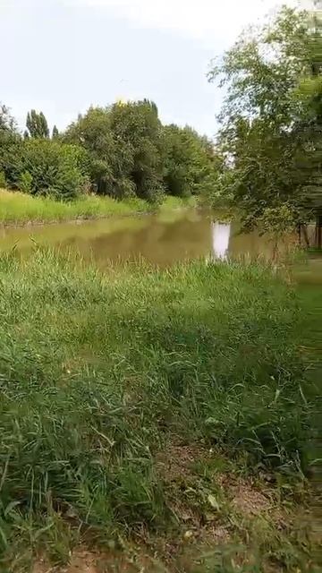 Пансионат 
