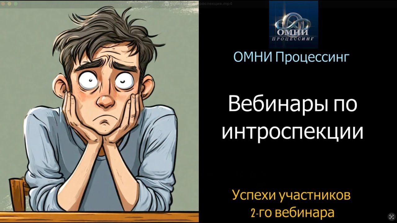 Истории Успеха 2-го вебинара «ОМНИ процессинг. Проработка интроспекции (смотрения внутрь)»