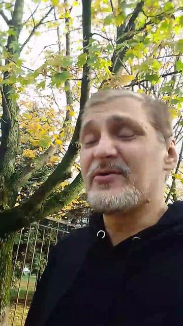 Осень 2025 #осень #россия #shorts