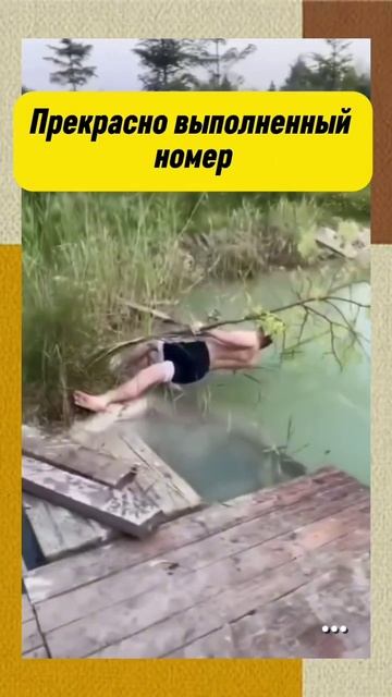 прекрасно выполнил номер