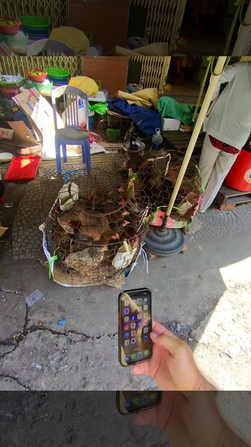 🌆 Рынок в Дананге, Вьетнам 🇻🇳От живых кур и свежих морепродуктов до специй, одежды и даже аптек