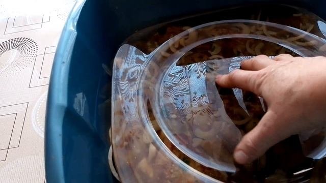 Ещё одна заготовка на Зиму / посадили Чеснок 🧄/ снег ❄️ идёт!