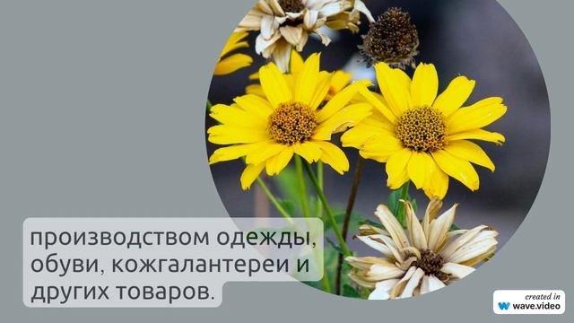 Фамилия Артюшков: исследуем происхождение, историю и значение этой уникальной фамилии с углубленным