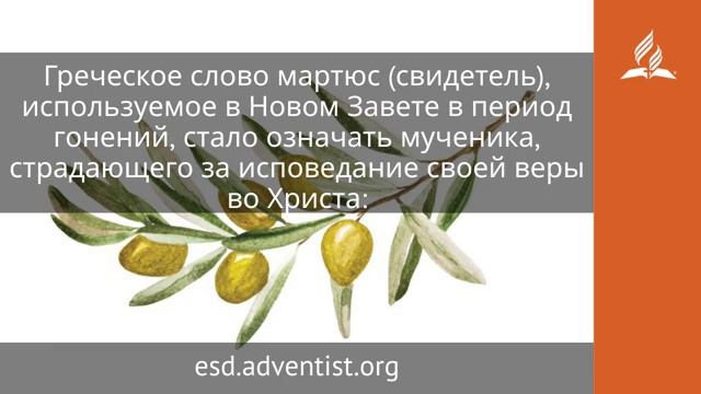 11 октября 2025. Свидетельство Иисуса. Под сенью благодати | Адвентисты