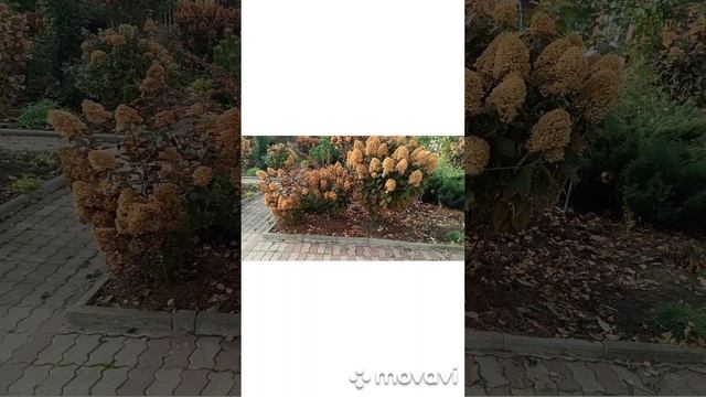Ещё один солнечный день подготовки к зиме.