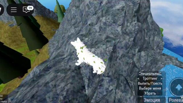 1000001246.mp4