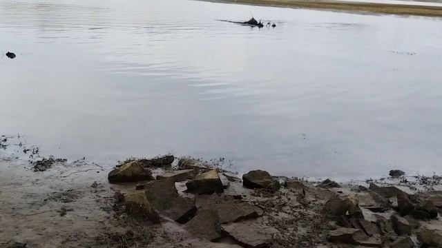 Сбросили воду в реке