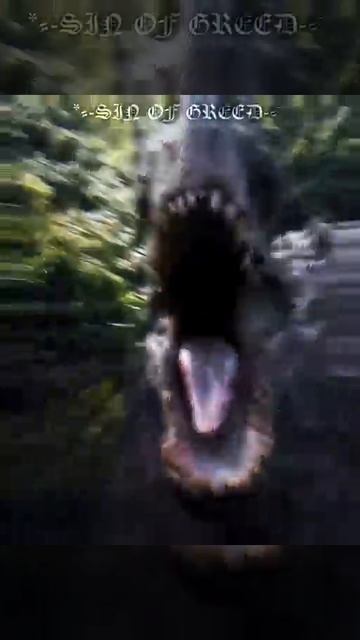 1000281279.mp4