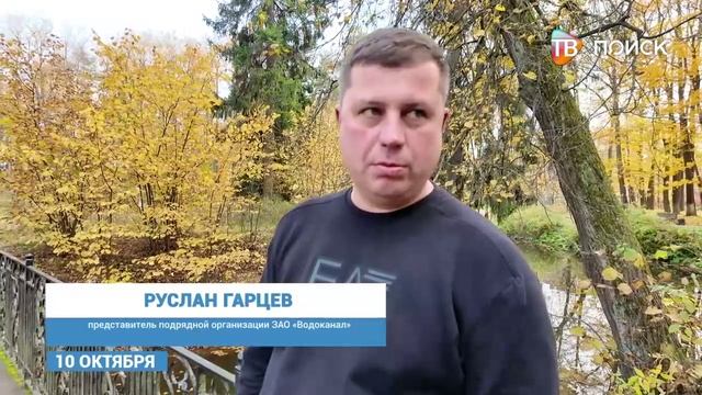 Лебедей из Майдановского пруда отправили на зимовку