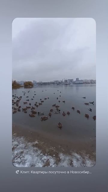 Квартиры возле парка Арена +79538882011