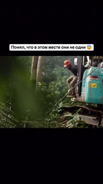 Понял, что в этом месте они не одни 😨