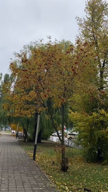 Осенний октябрь 