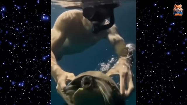 Я РЖАЛ ДО СЛЕЗ😂 15 Минут ОТБОРНЫХ ПРИКОЛОВ 2025 Смешные видео - Лучшие ПРИКОЛЫ