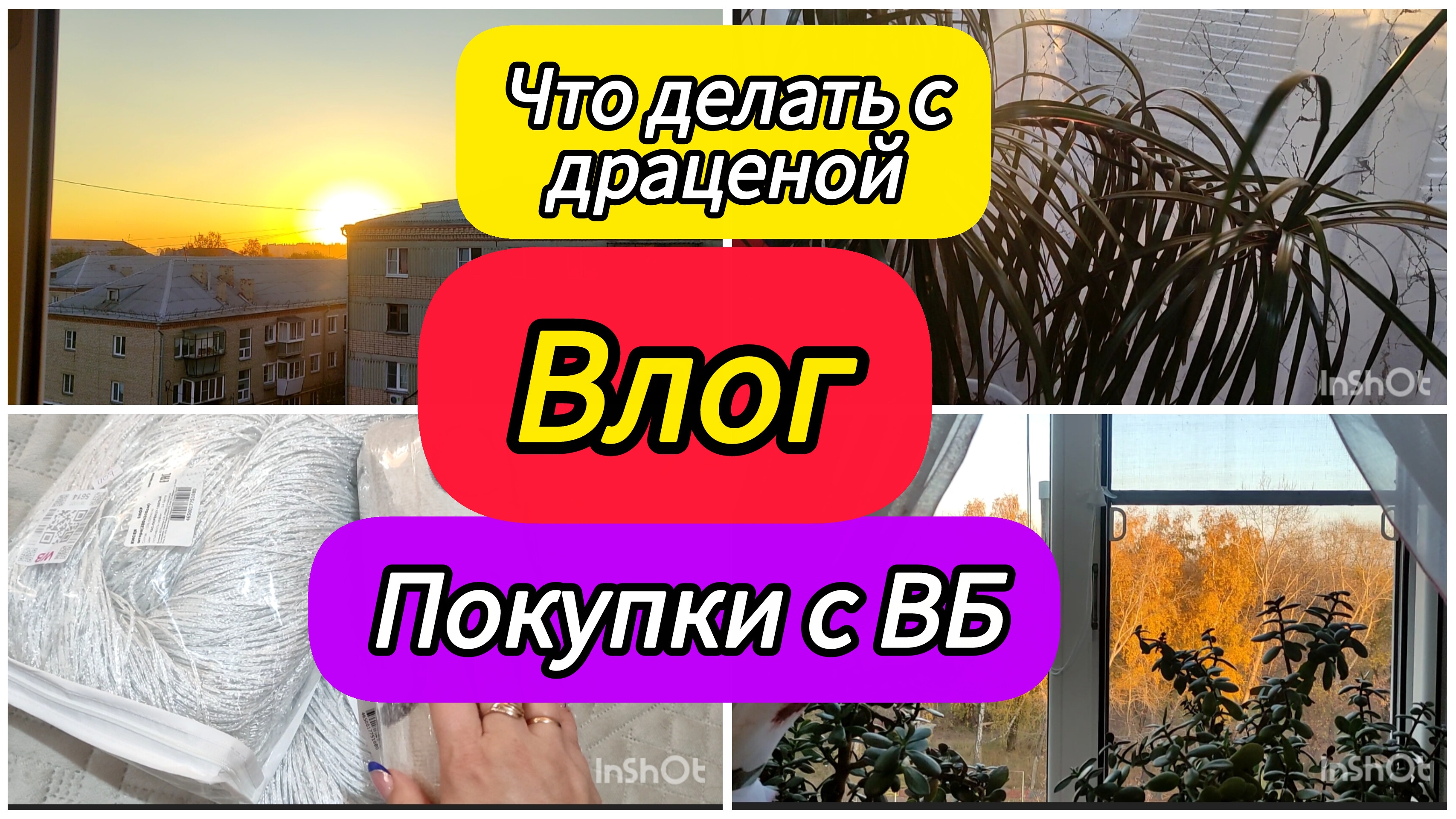 Влог. Покупки с ВБ. Прошу у Вас совета /