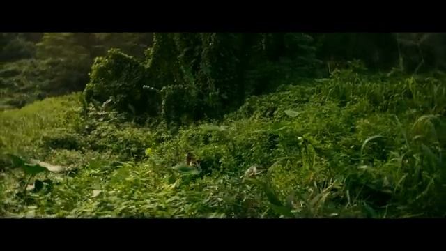 Godzilla Vs Kong