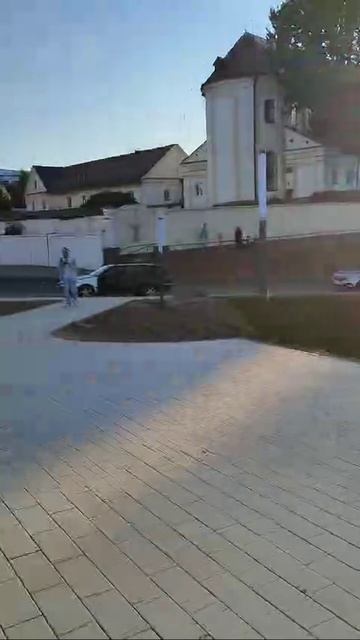 Левый берег Немана