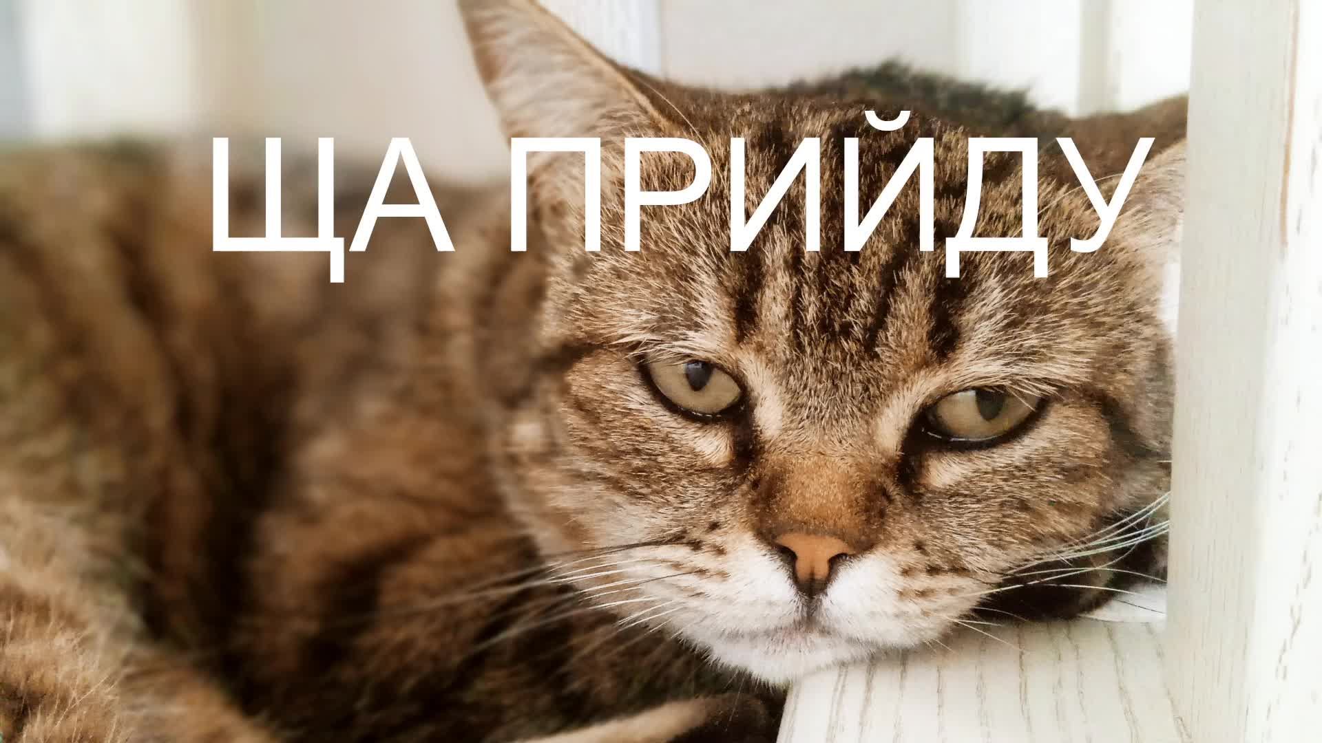 Ну чото типо играю да