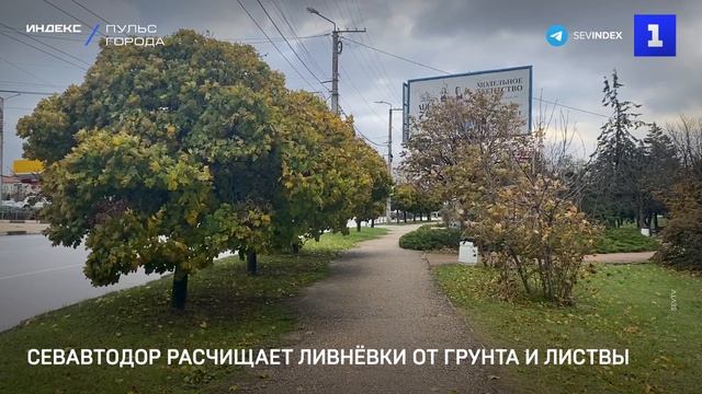 Севавтодор расчищает ливнёвки от грунта и листвы