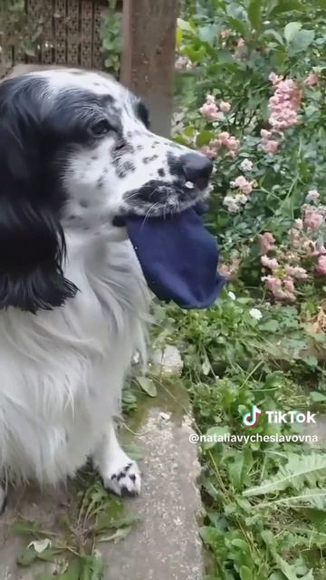 Подозрительный тип...)))