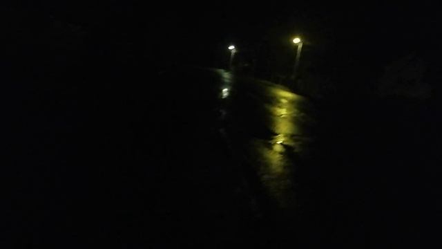 10.10.2025.22:00. Усадьба Парк Кино Ляхово. Парк Сибирских Кошек.Визитная карточка. Домодедово.Моско