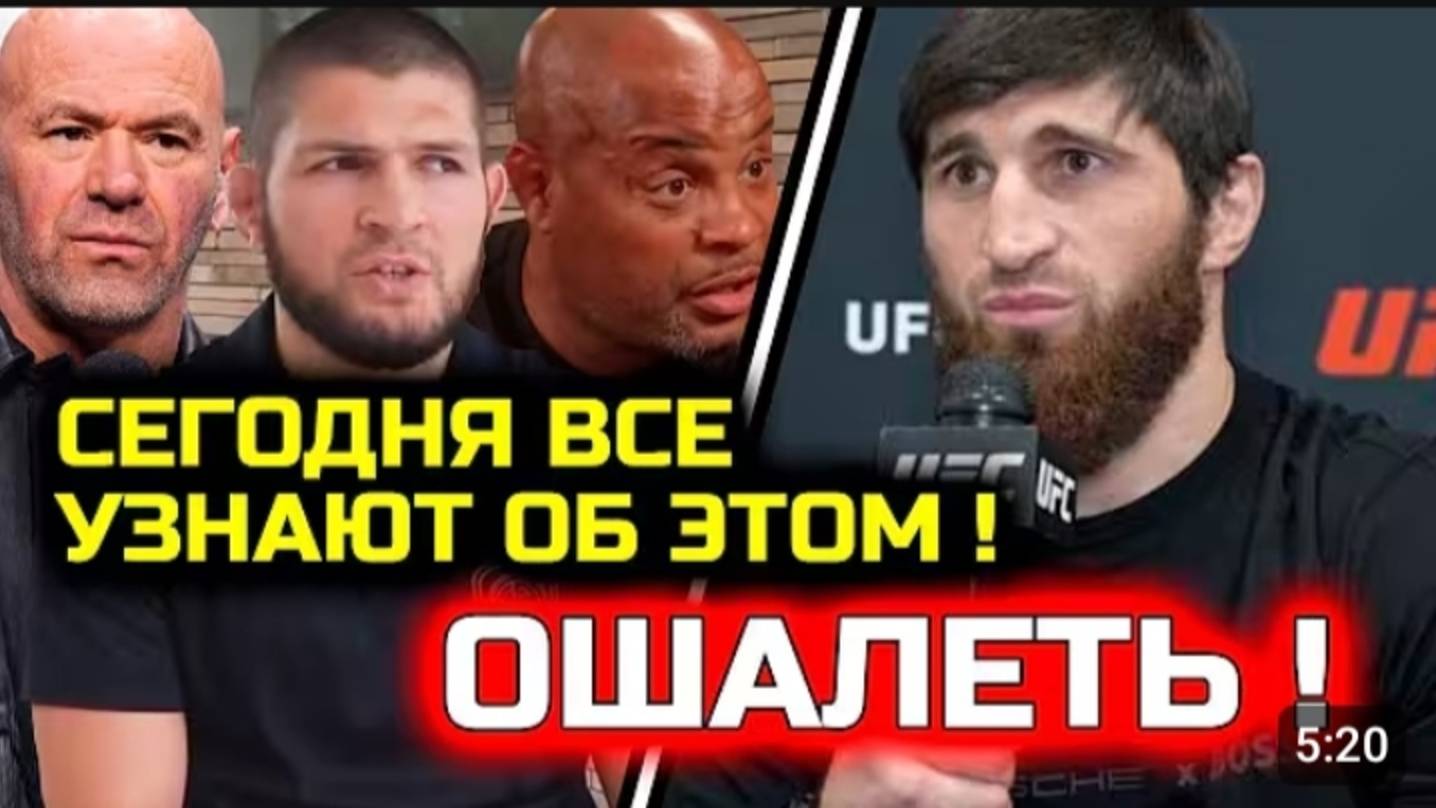 СРОЧНО Ситуация НАКАЛИЛАСЬ Неожиданный поворот в деле Анкалаева Магомед Анкалаев Алекс Перейра 2