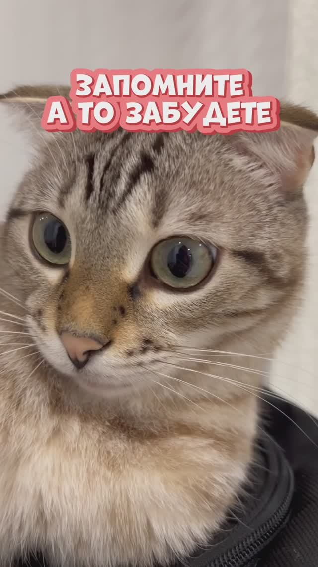 😃😃😃