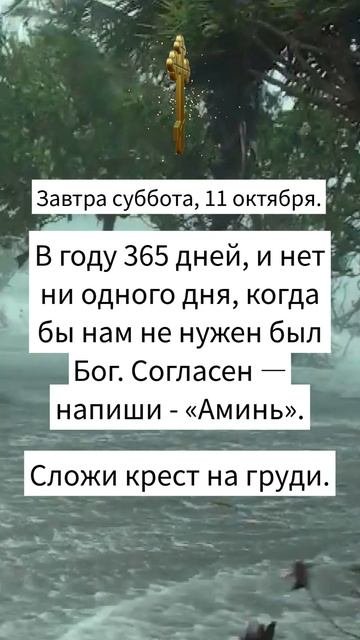 В году 365 дней, и нет ни одного дня, когда бы нам не нужен был Бог. Согласен — напиши - «Аминь».