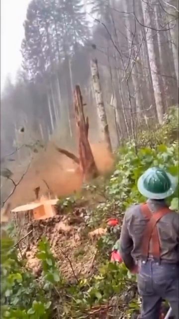 Уникальная техника лесорубов