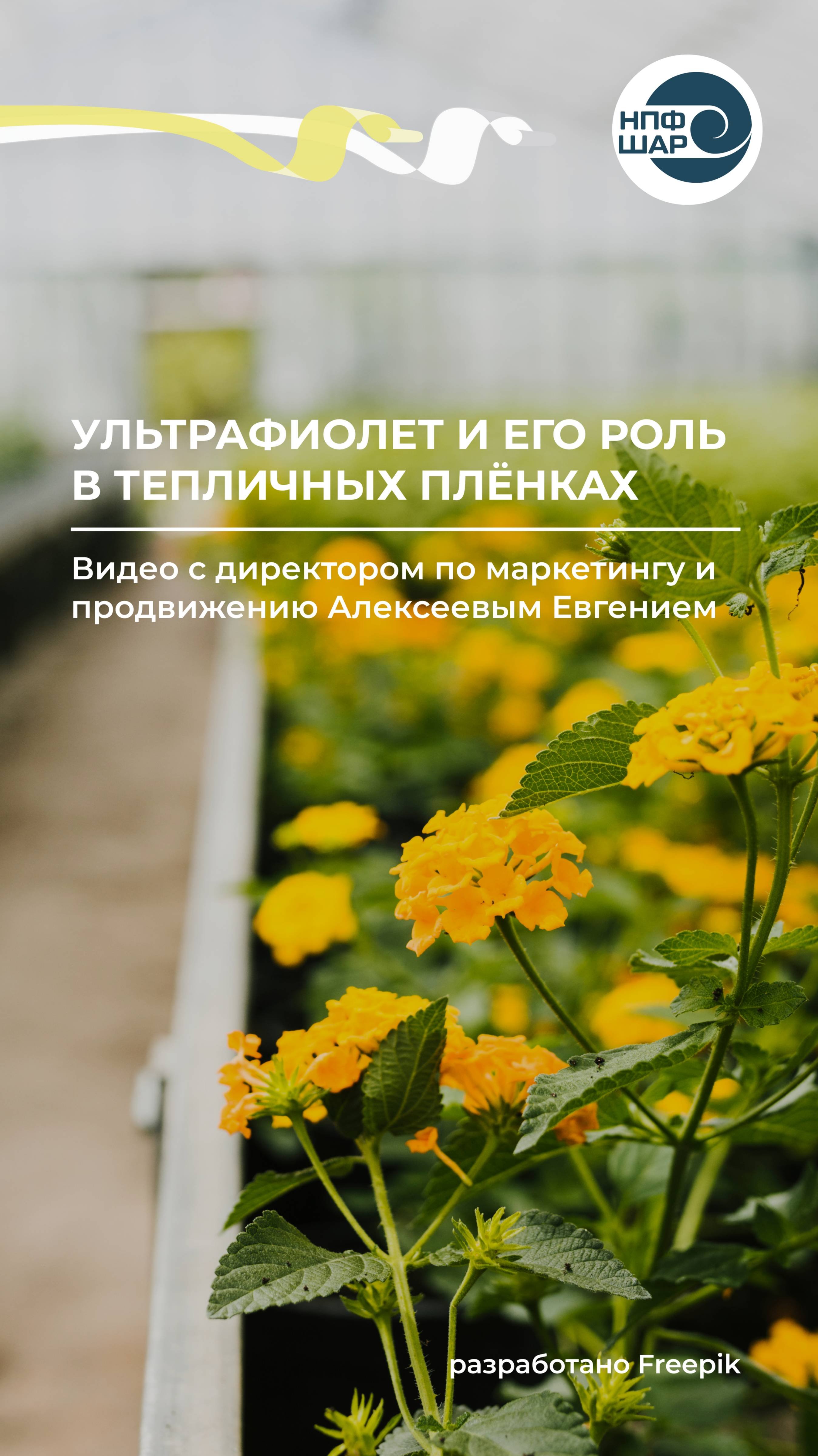 Ультрафиолет и его роль в тепличных плёнках 🌤️