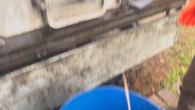 Привоз форели в Рыбин Гуд