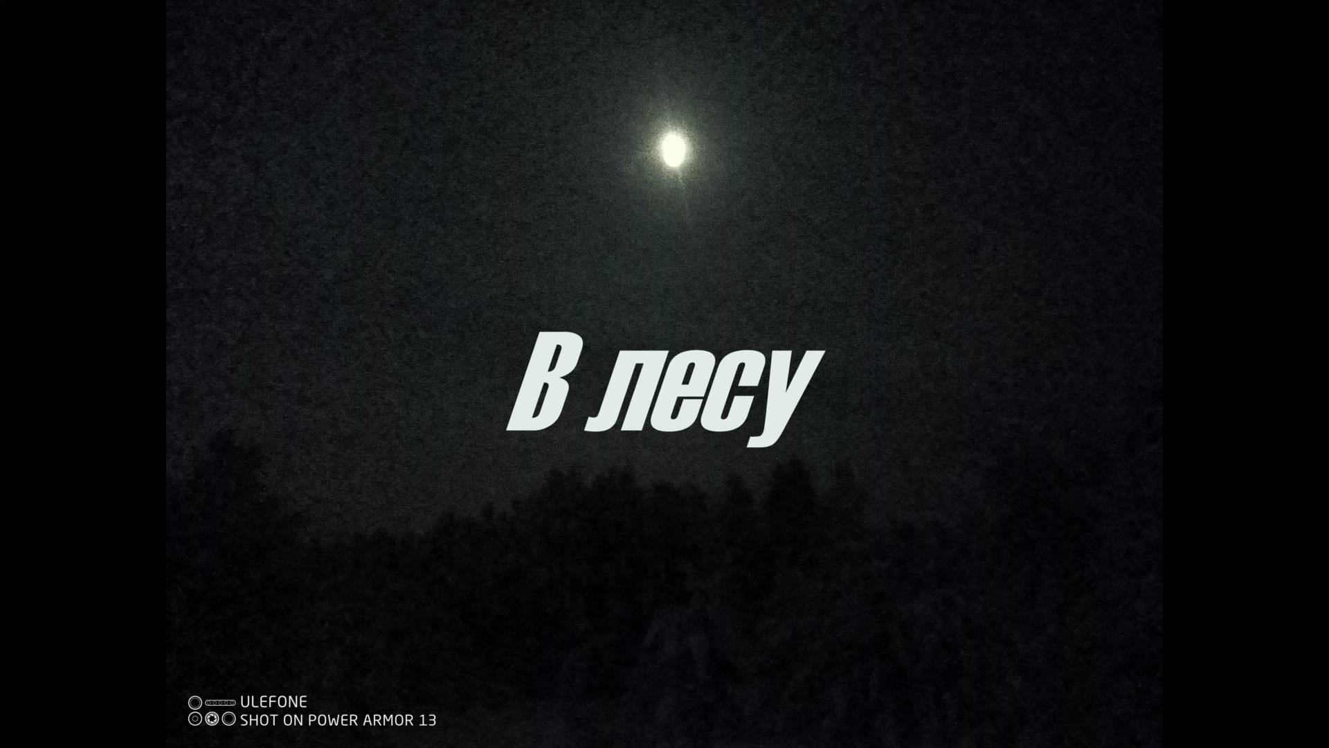 В лесу