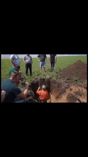 Рулетка — дело тонкое! #сельскоехозяйство #рулетка #farming #ферма #агротехнологии #юмор