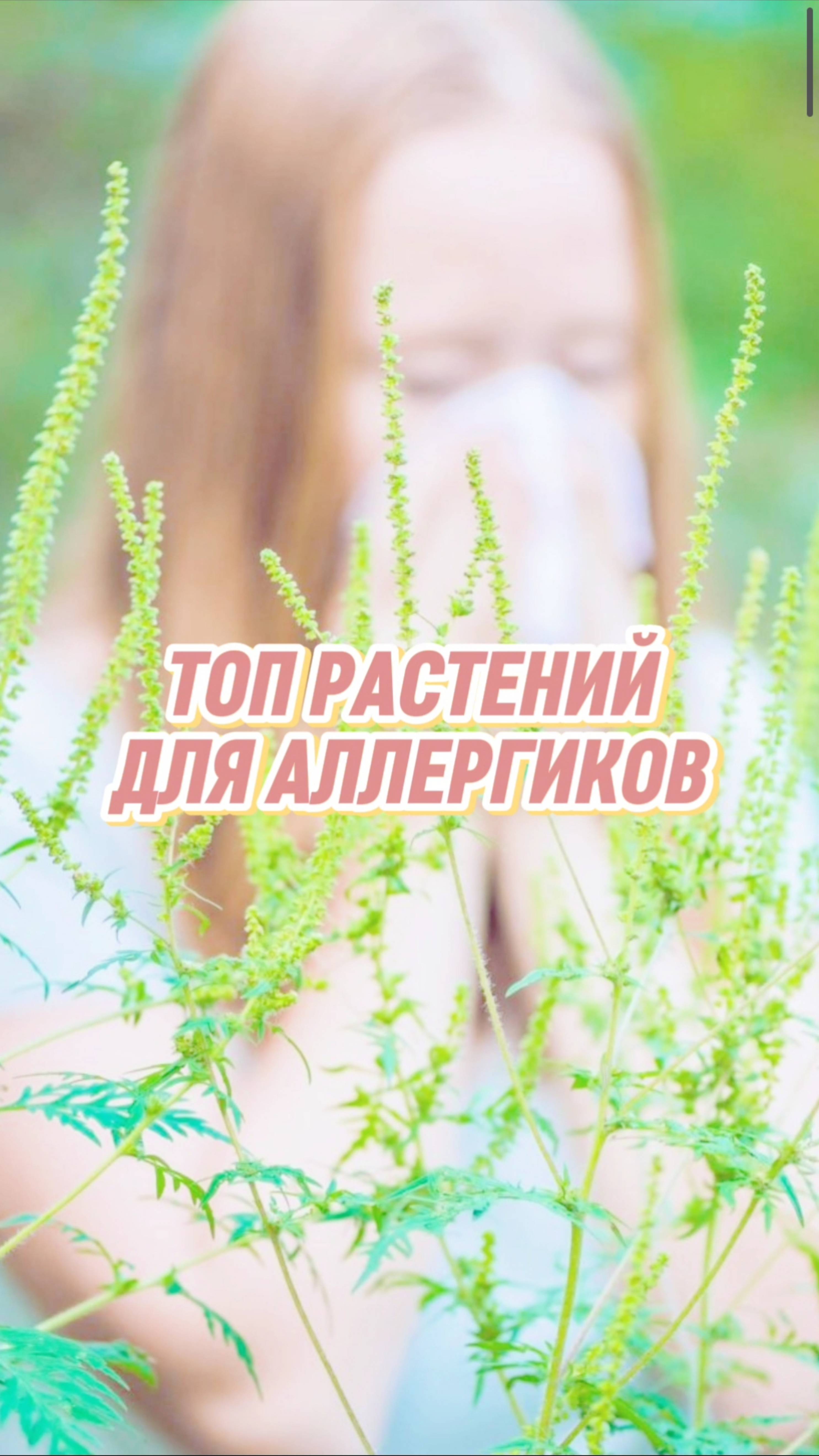 🌼 Красота без насморка: растения, с которыми можно жить мирно